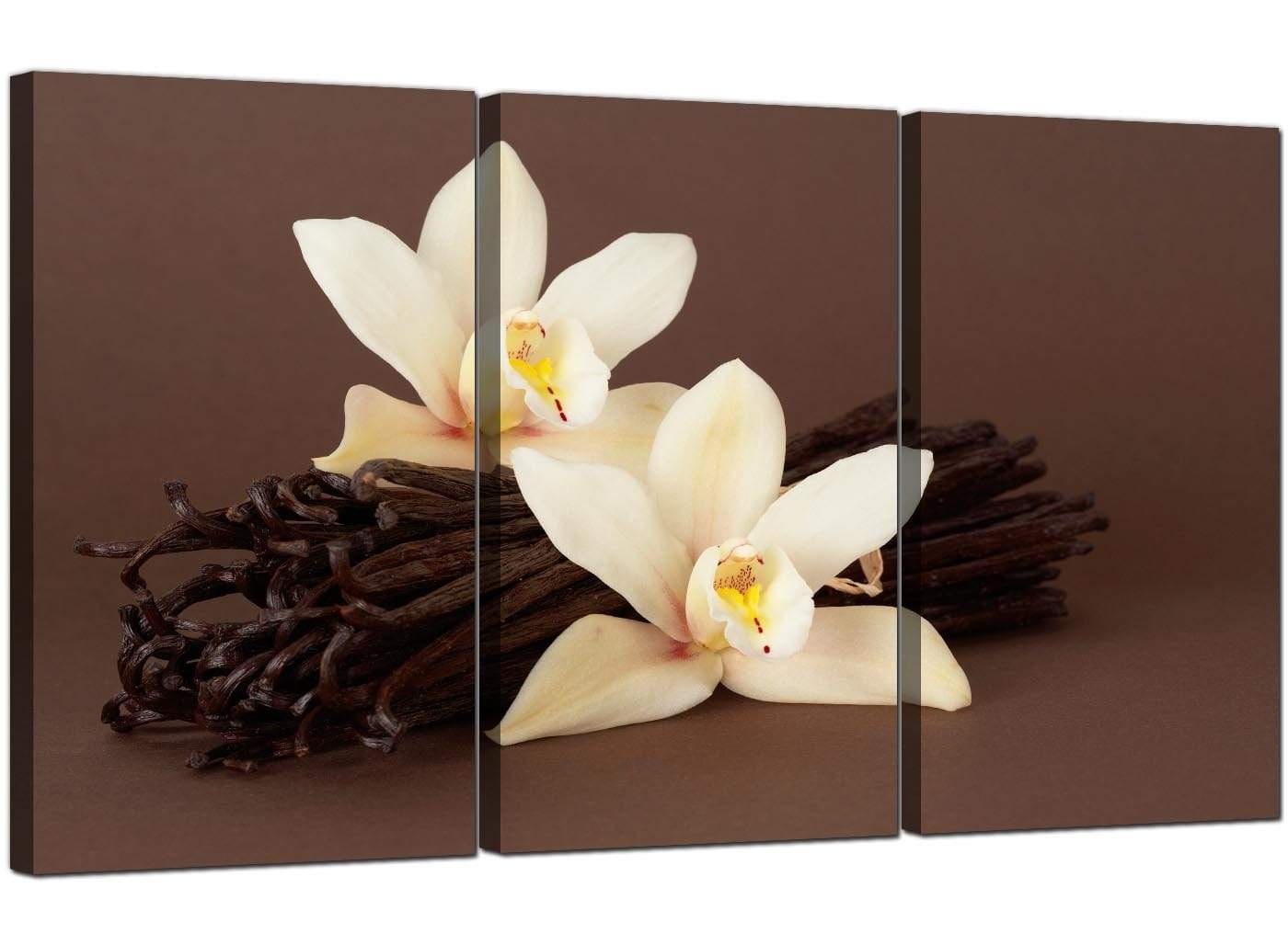 Brown and Cream Flower Floral Canvas