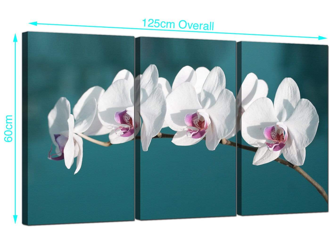 Teal White Orchid Flower Branch Floral Canvas