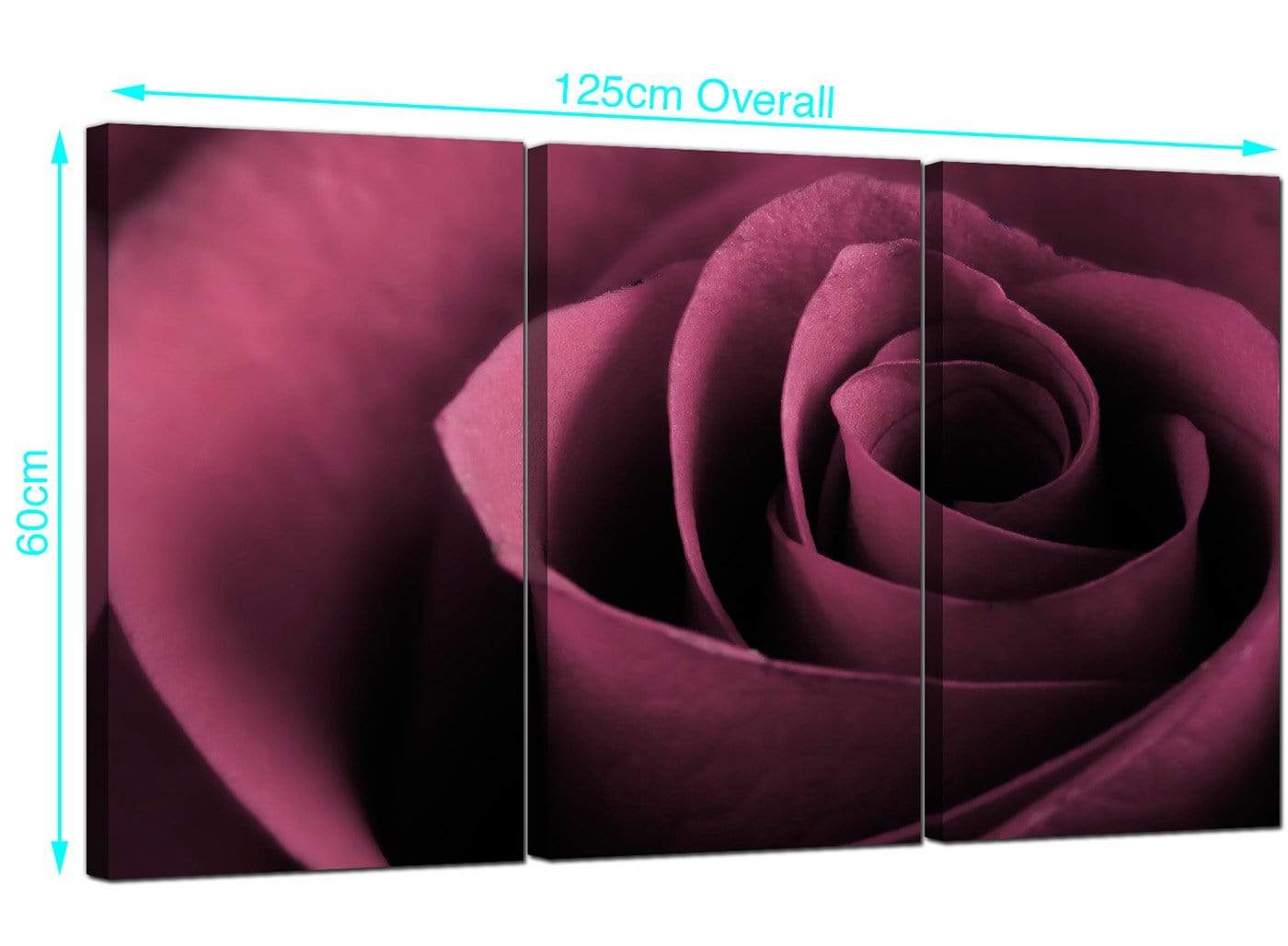 Plum Coloured Rose Petal Flower Floral Modern Canvas Art