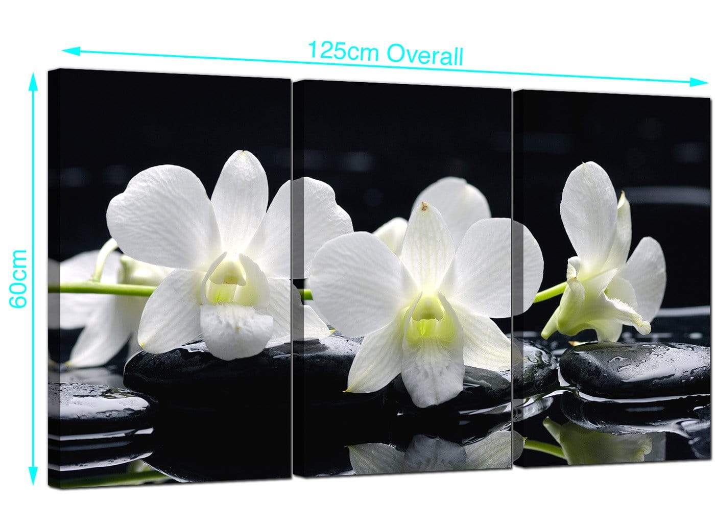 Black and White Orchid Flower Floral Canvas