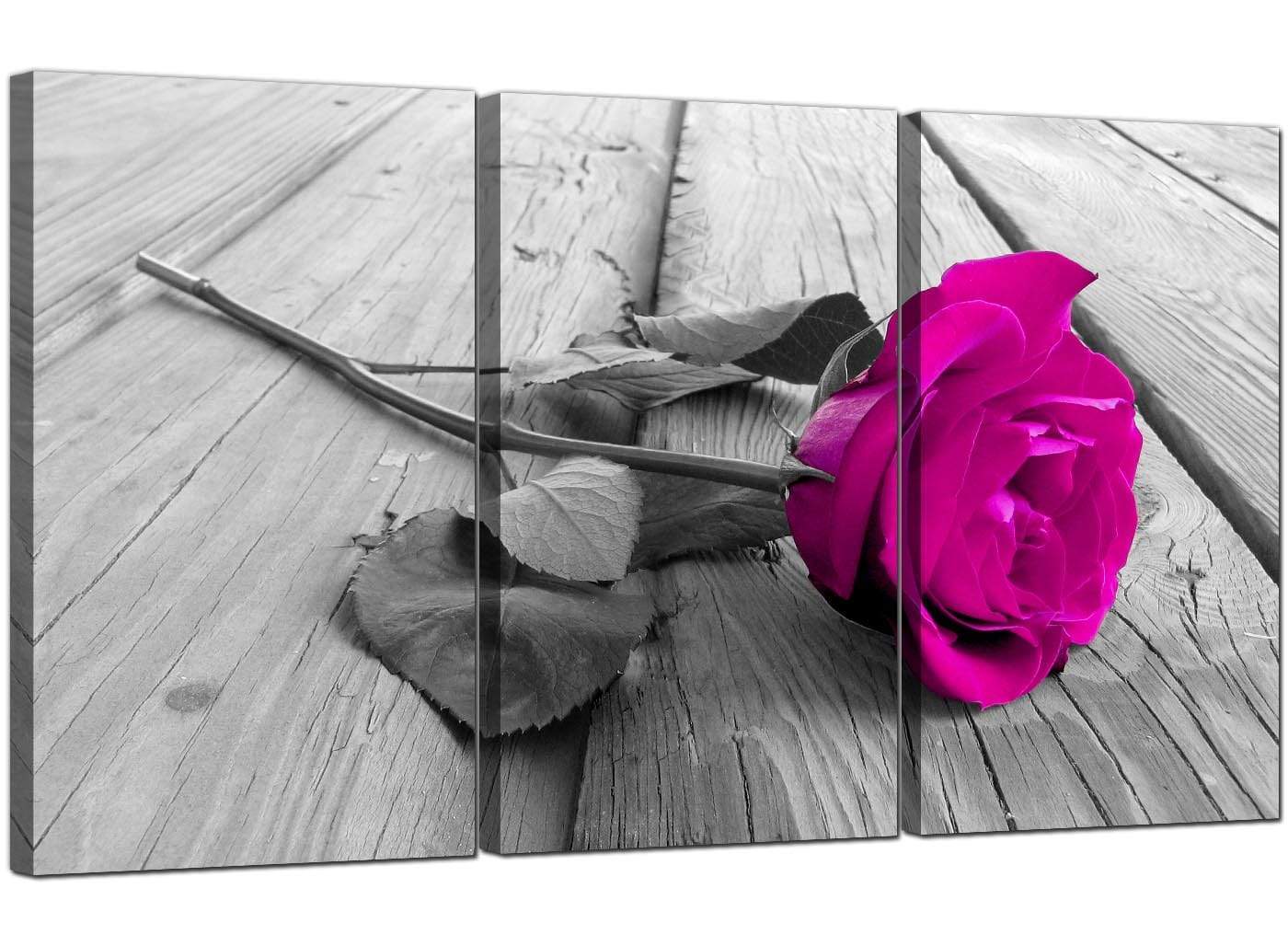 Pink Rose Grey Black White Flower Floral Canvas