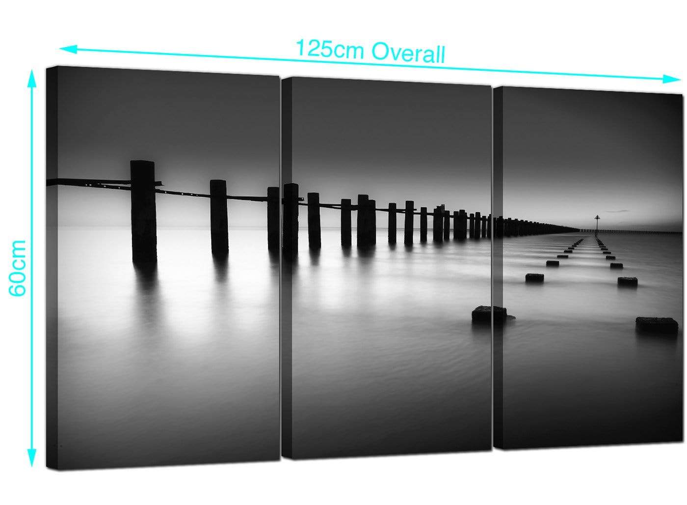 Modern Black White Beach Scenery Landscape Canvas