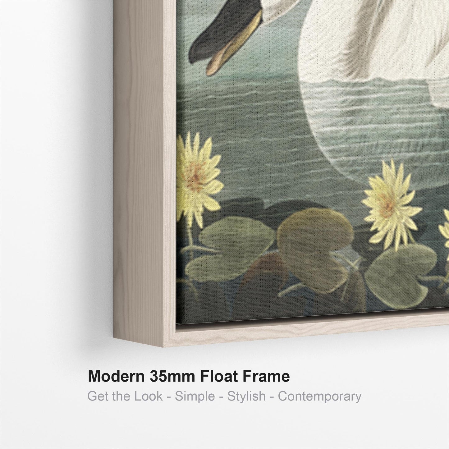 American Swan - Framed Canvas Wall Art - John James Audubon - Birds of America Print