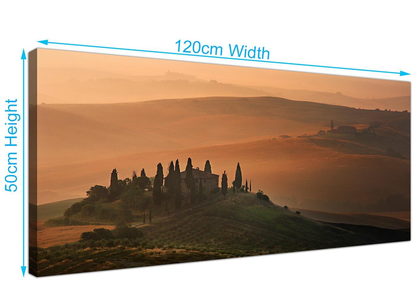 Tuscany Vineyard - Italian Canvas Prints