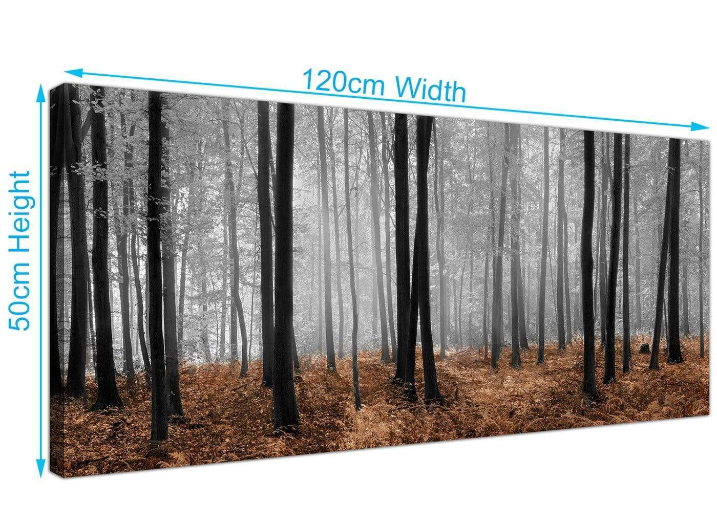 Black White Brown Grey Forest Woodland Trees Canvas Wall Art