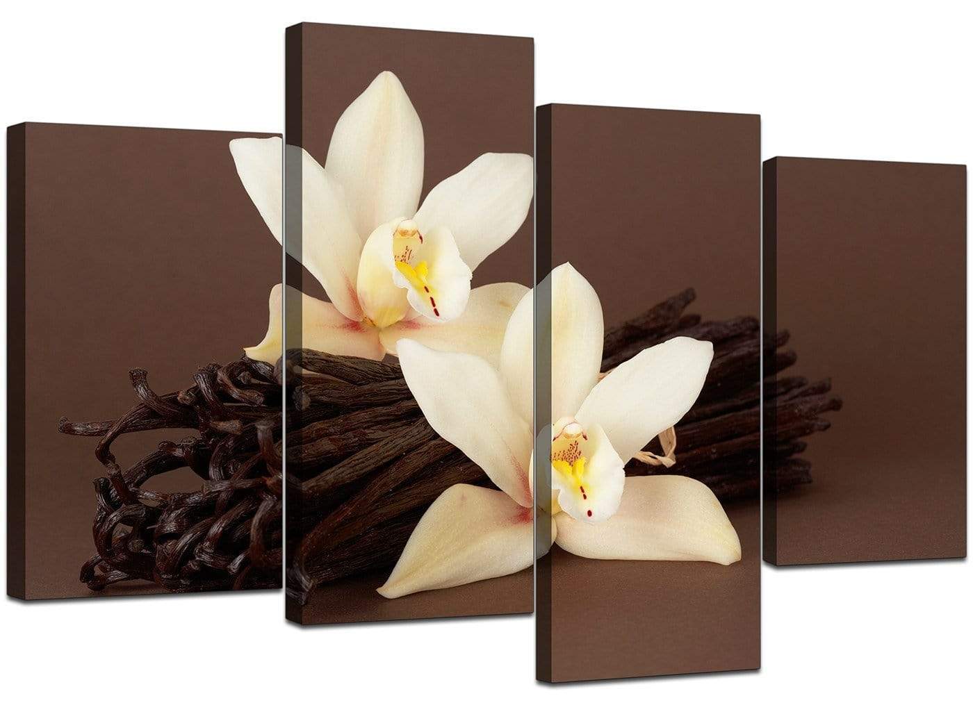 Brown and Cream Flower Floral Canvas