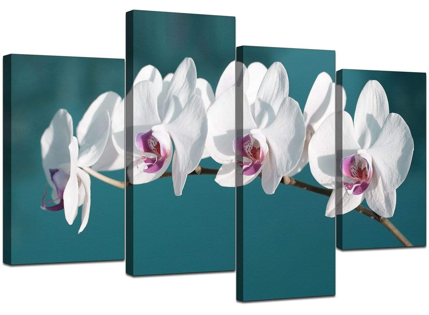 Teal White Orchid Flower Branch Floral Canvas