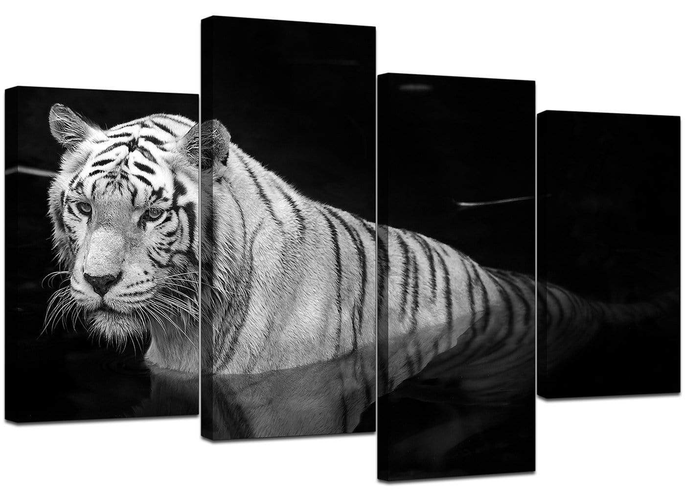 Modern Black White Bengal Tiger Water Canvas