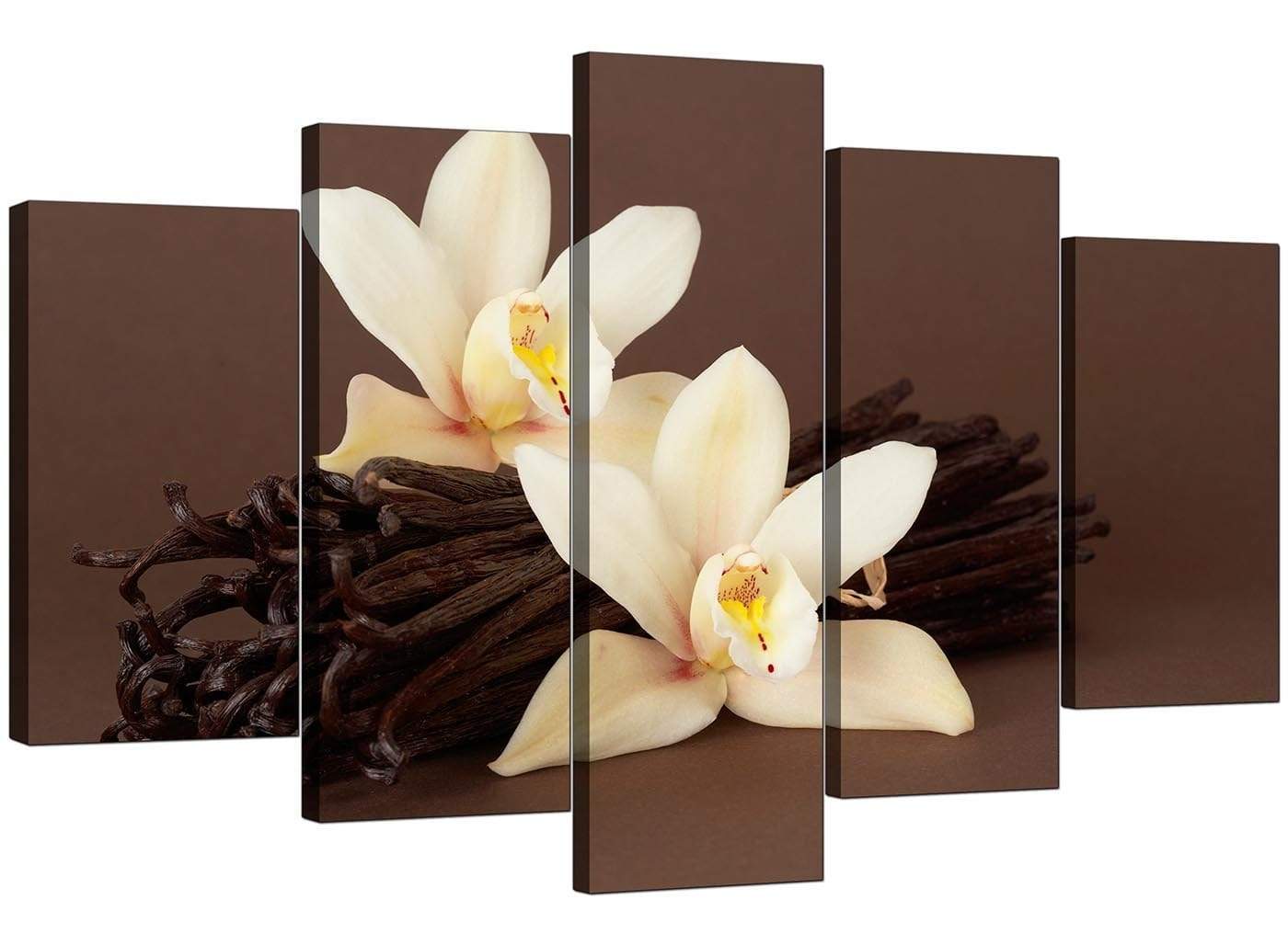 Brown and Cream Flower Floral Canvas