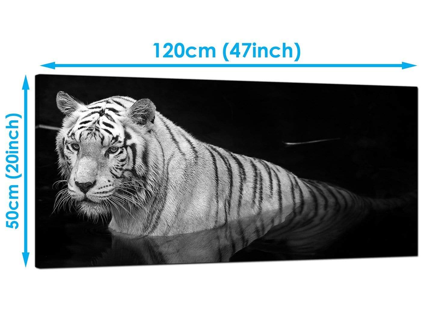 Modern Black White Bengal Tiger Water Canvas