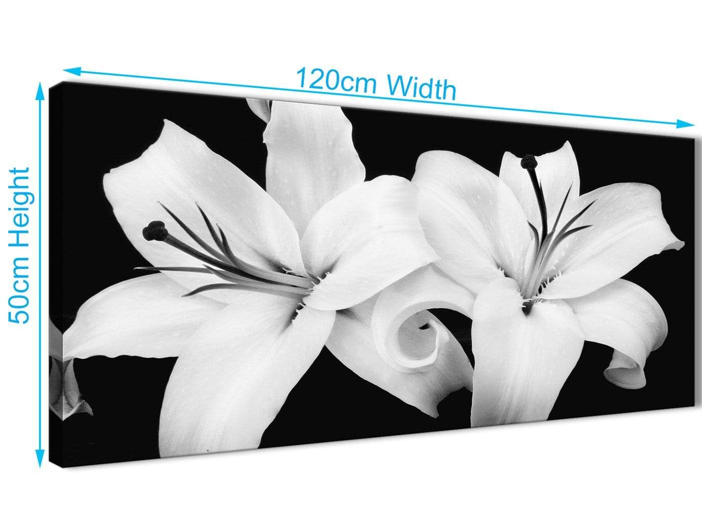 Black White Lily Flower Bedroom Canvas Wall Art Accessories Print