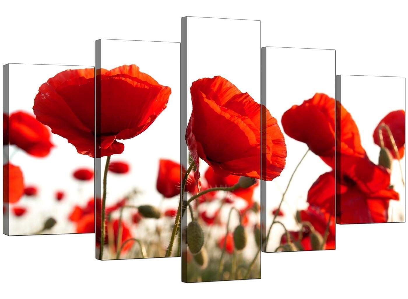 Red Poppy Field Poppies Flower White Floral Canvas