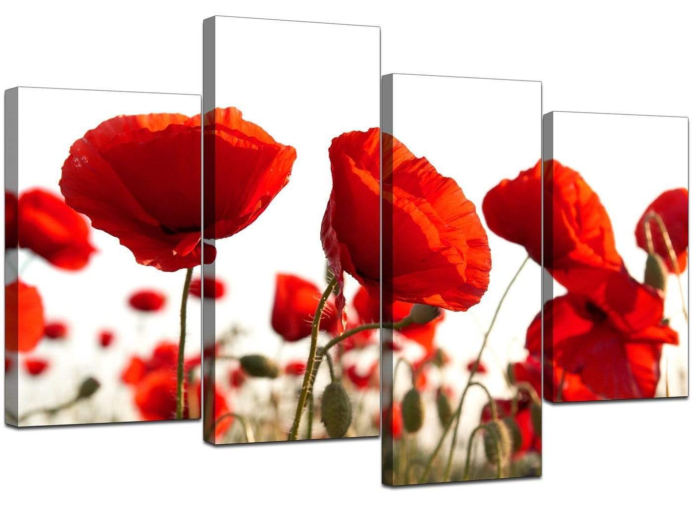 Red Poppy Field Poppies Flower White Floral Canvas