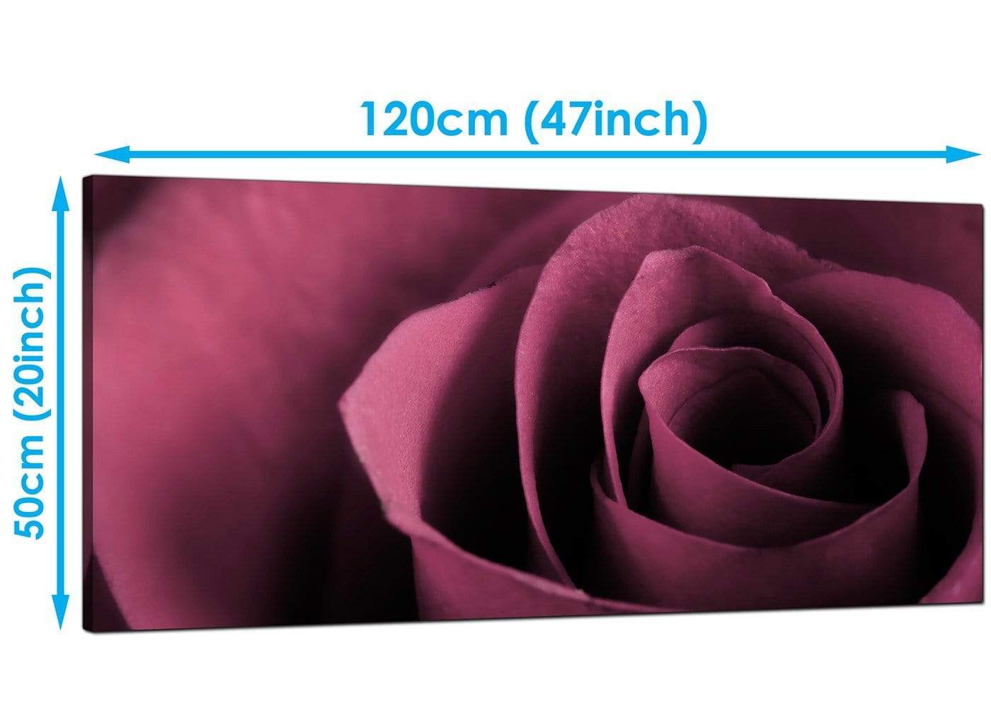 Plum Coloured Rose Petal Flower Floral Modern Canvas Art