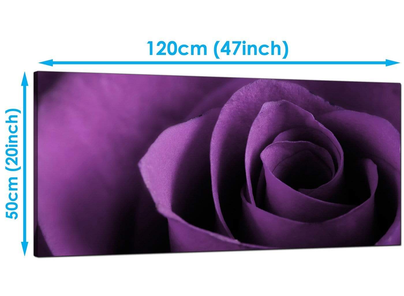 Purple Rose Petal Flower Floral Modern Canvas Art