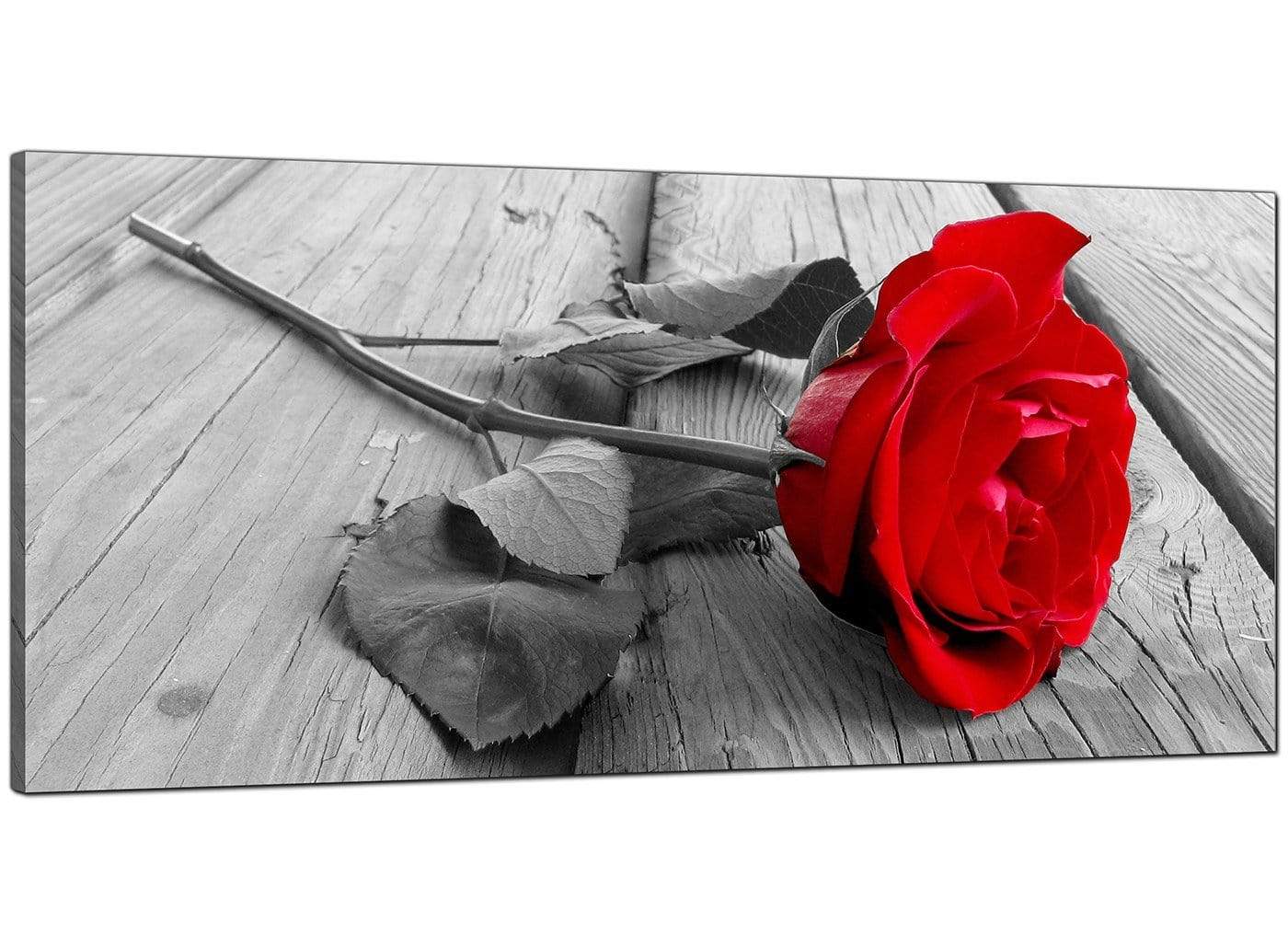 Red Rose Grey Black White Flower Floral Modern Canvas Art