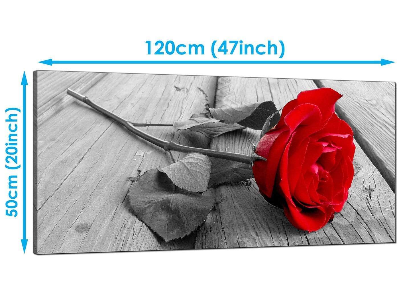 Red Rose Grey Black White Flower Floral Modern Canvas Art