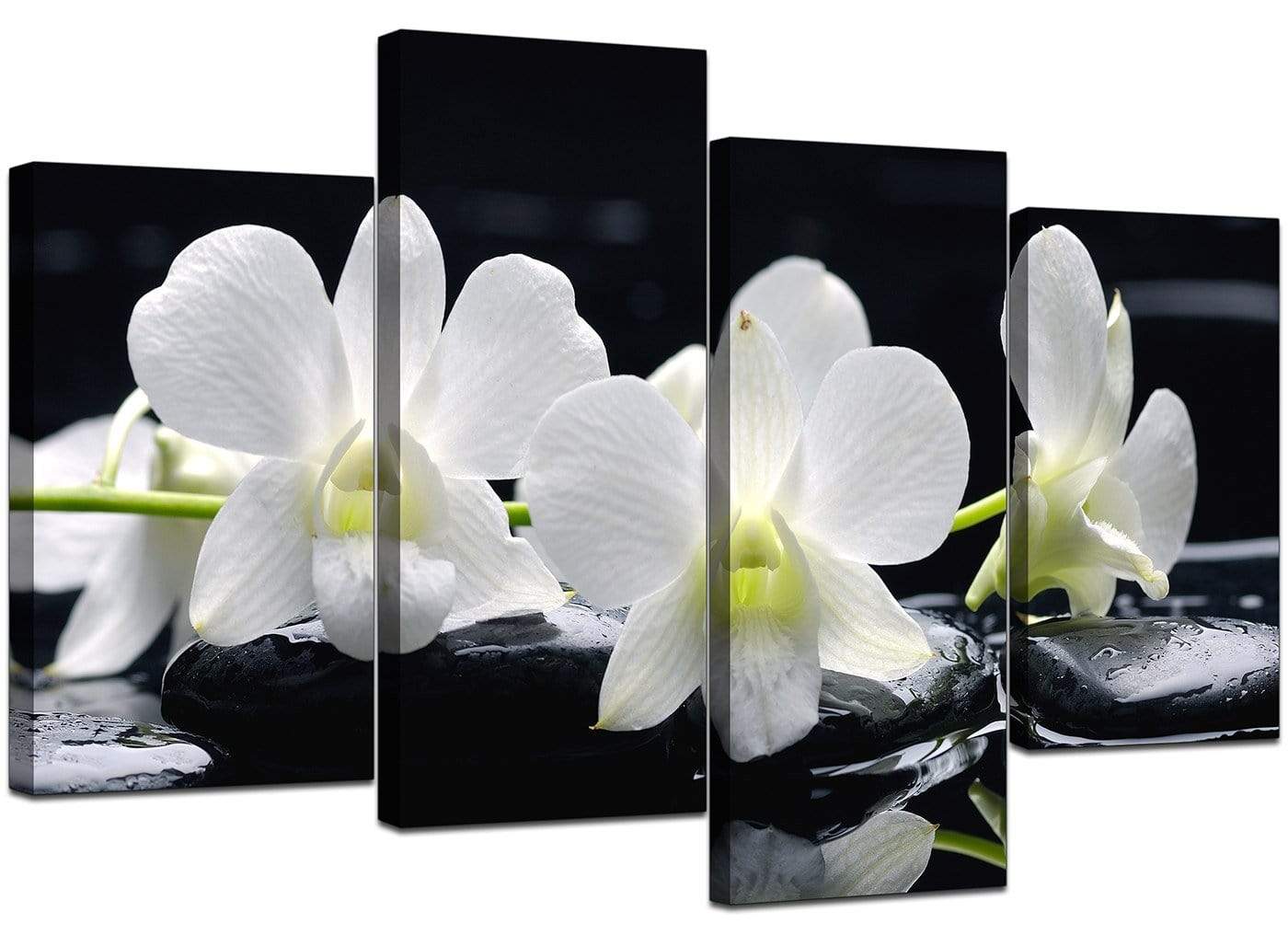 Black and White Orchid Flower Floral Canvas