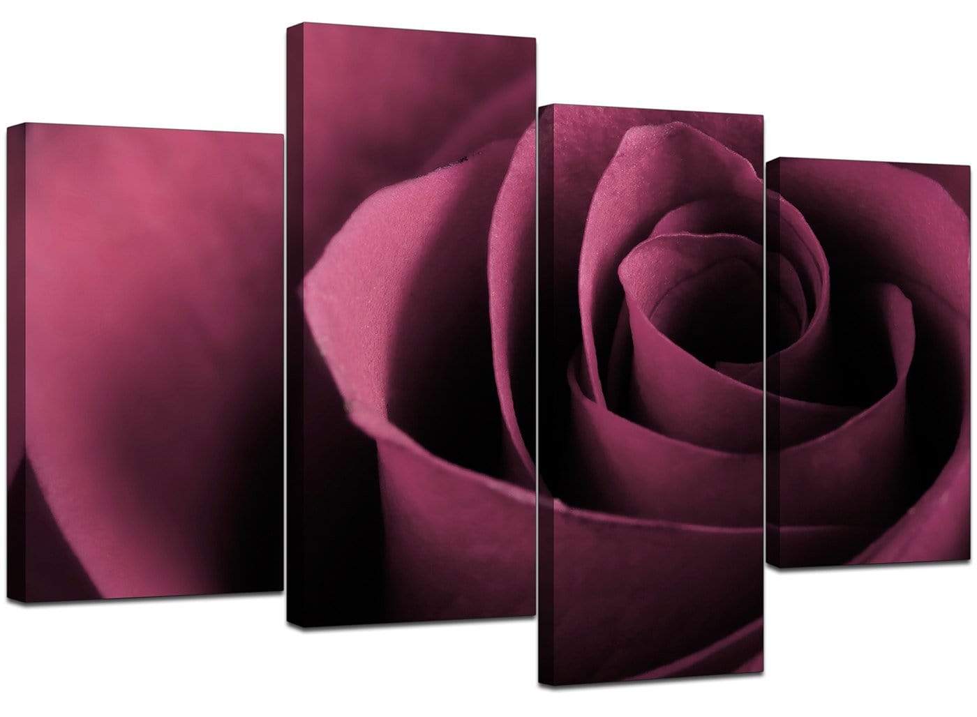 Plum Coloured Rose Petal Flower Floral Modern Canvas Art