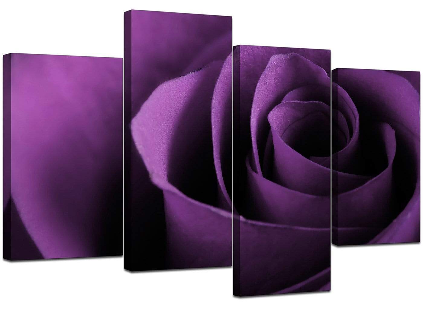 Purple Rose Petal Flower Floral Modern Canvas Art