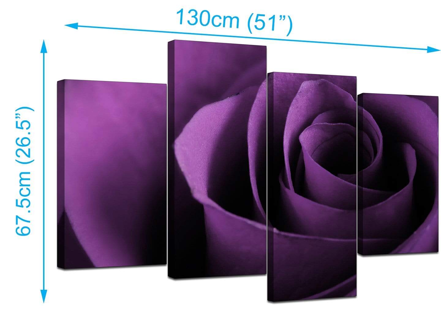 Purple Rose Petal Flower Floral Modern Canvas Art