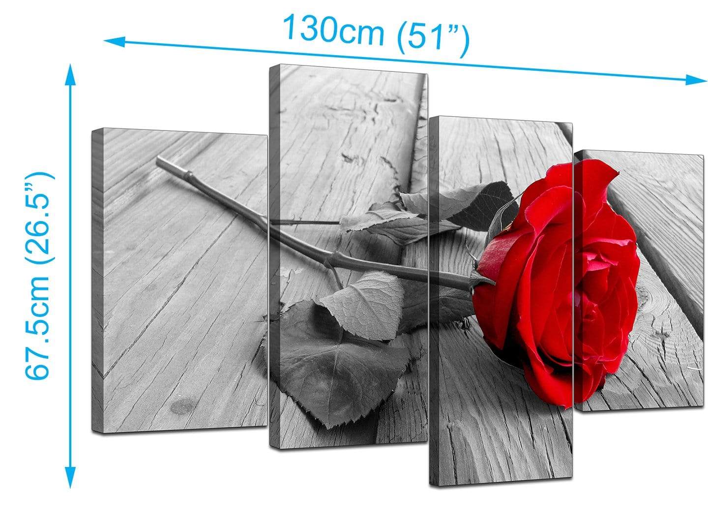 Red Rose Grey Black White Flower Floral Modern Canvas Art