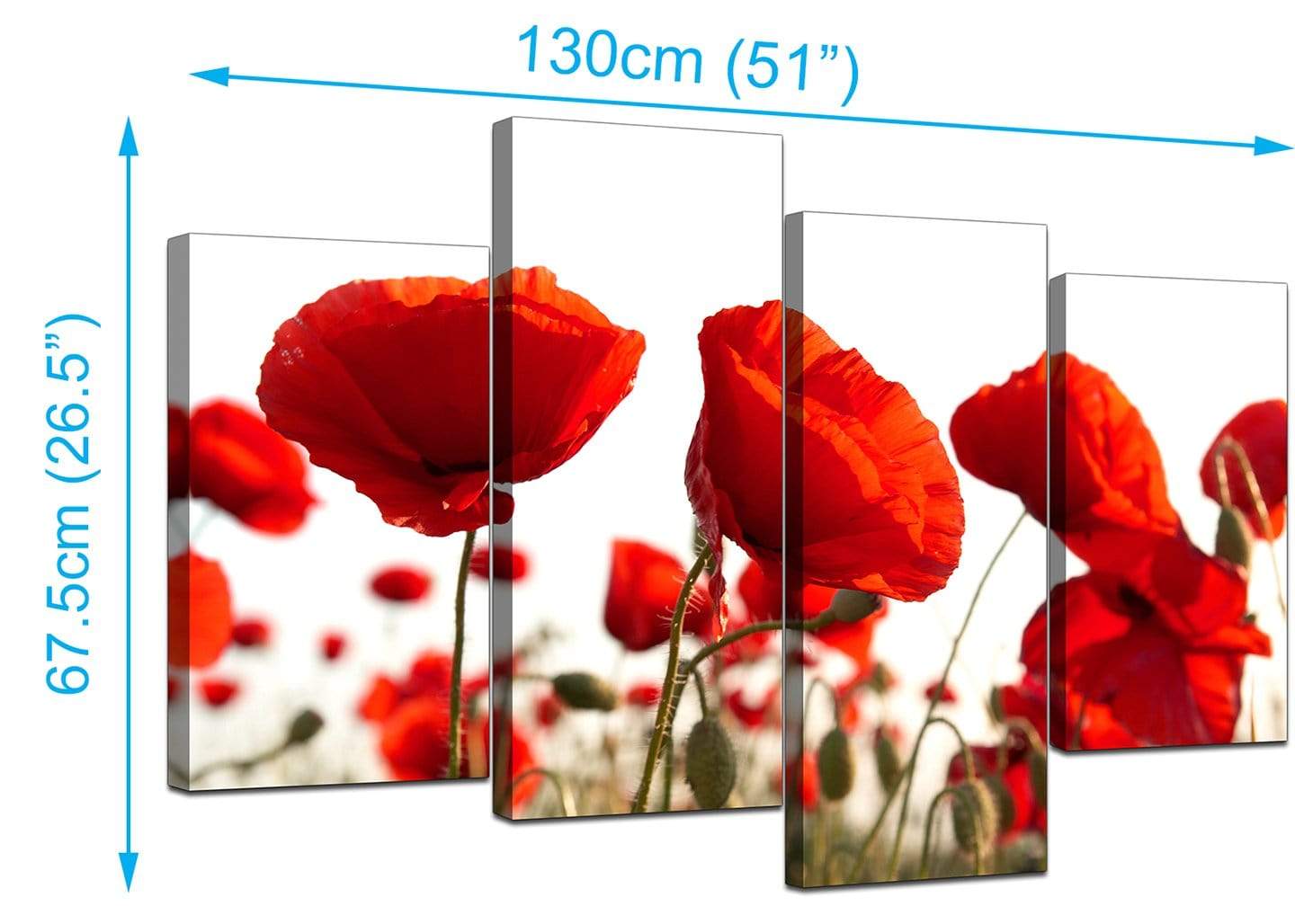 Red Poppy Field Poppies Flower White Floral Canvas
