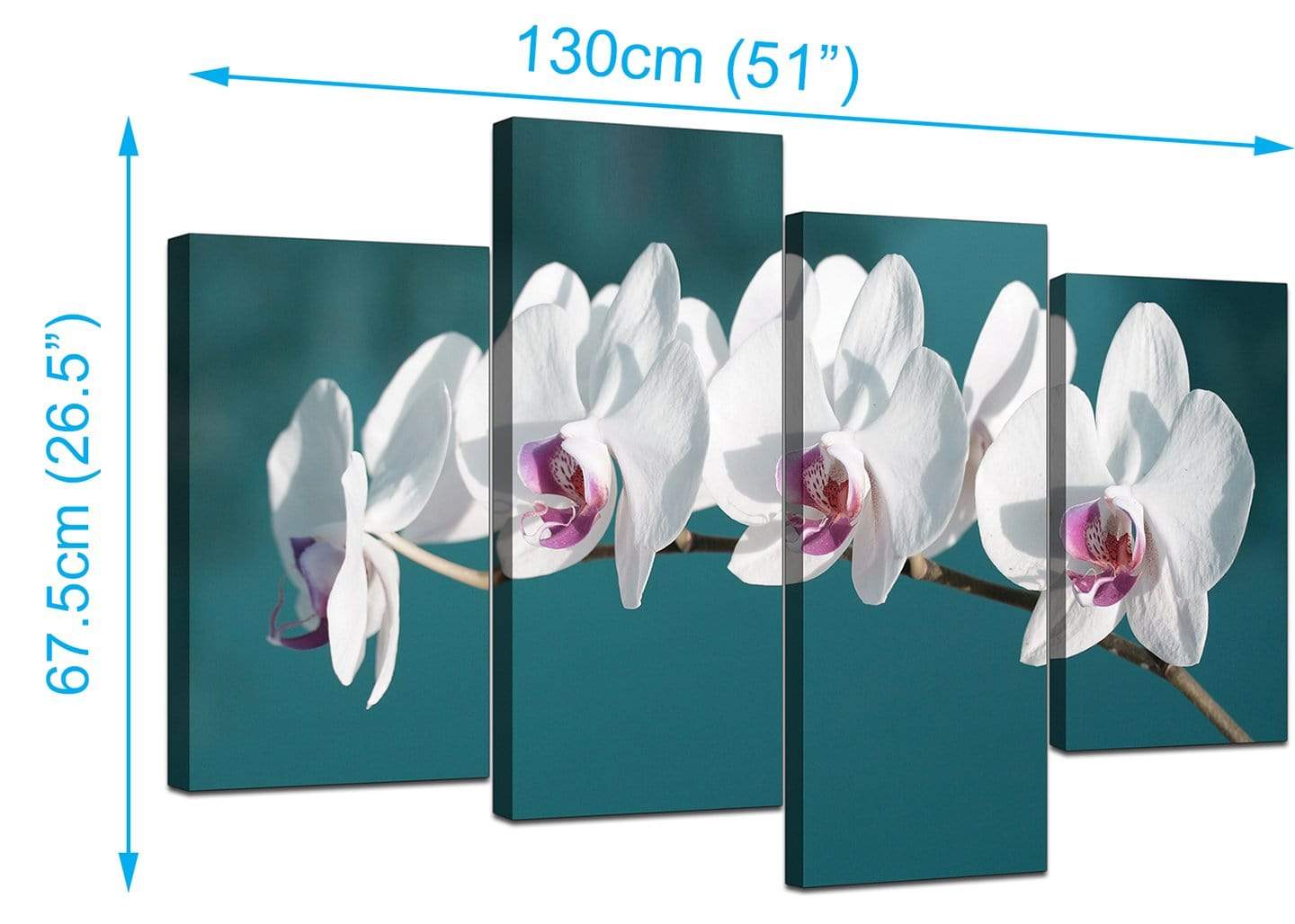 Teal White Orchid Flower Branch Floral Canvas