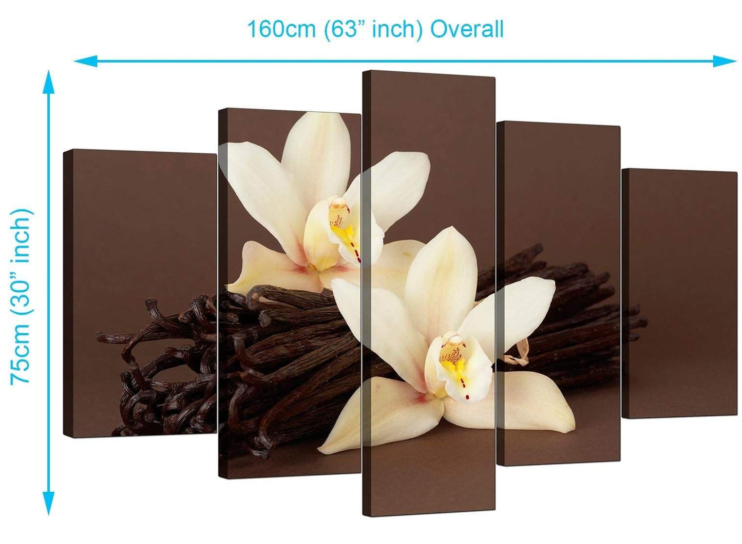Brown and Cream Flower Floral Canvas