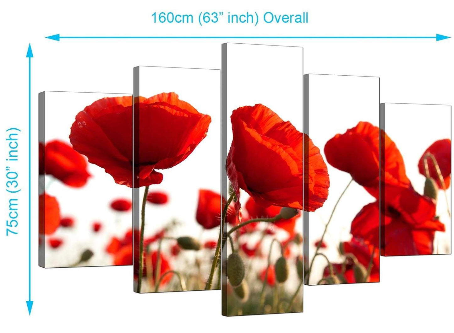 Red Poppy Field Poppies Flower White Floral Canvas
