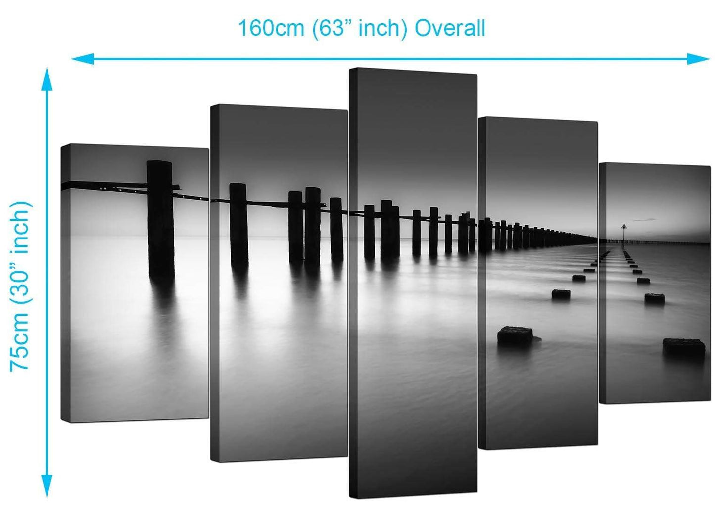 Modern Black White Beach Scenery Landscape Canvas