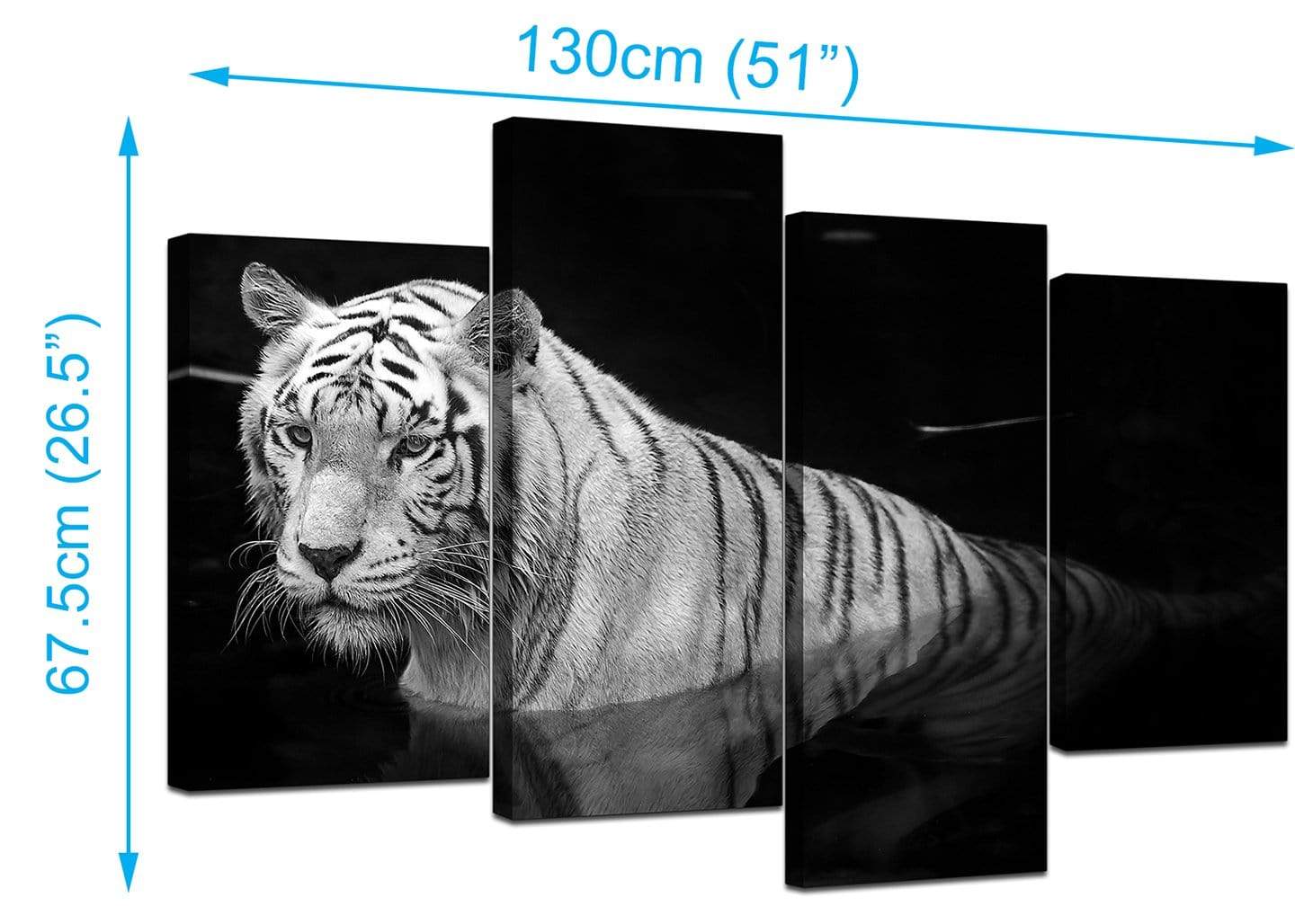 Modern Black White Bengal Tiger Water Canvas