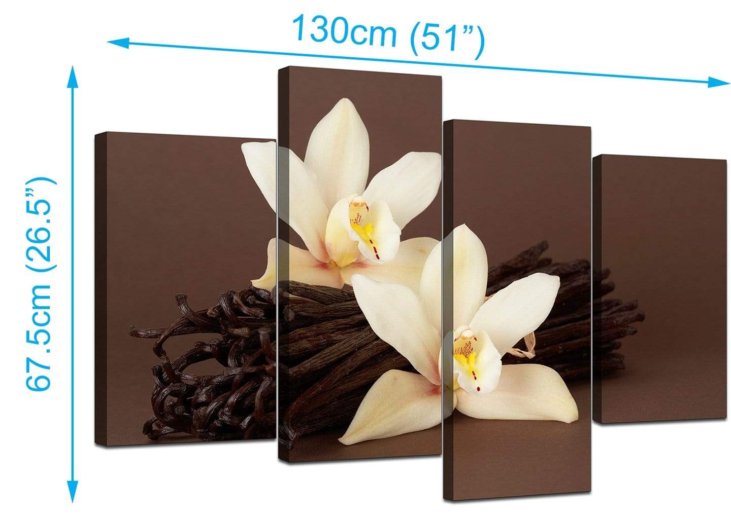 Brown and Cream Flower Floral Canvas