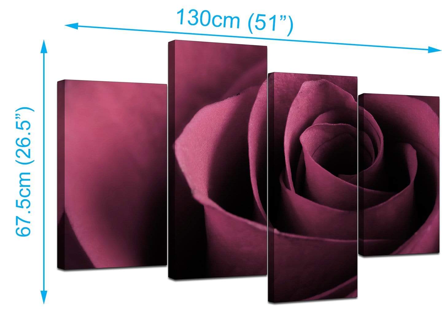 Plum Coloured Rose Petal Flower Floral Modern Canvas Art