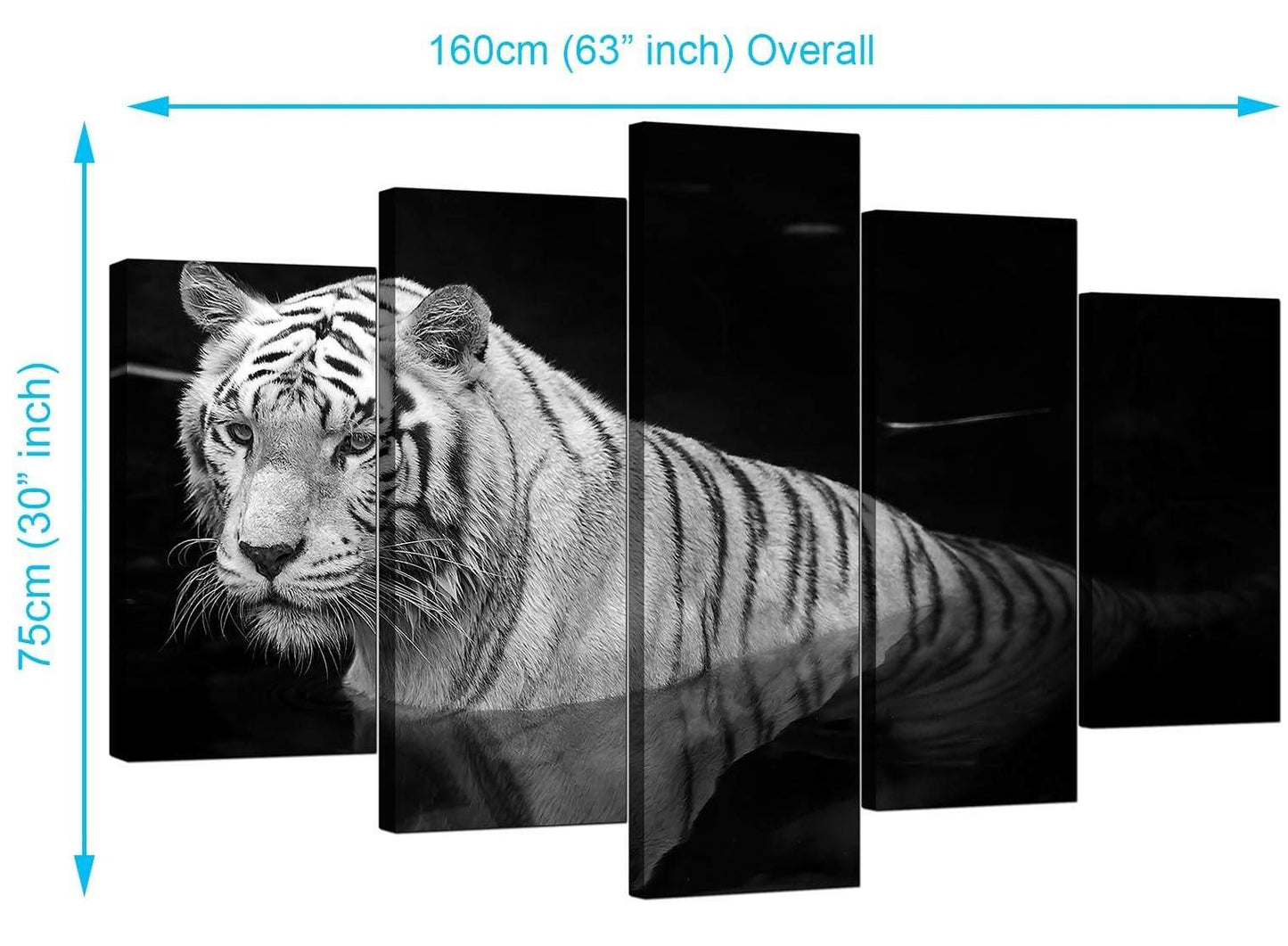 Modern Black White Bengal Tiger Water Canvas