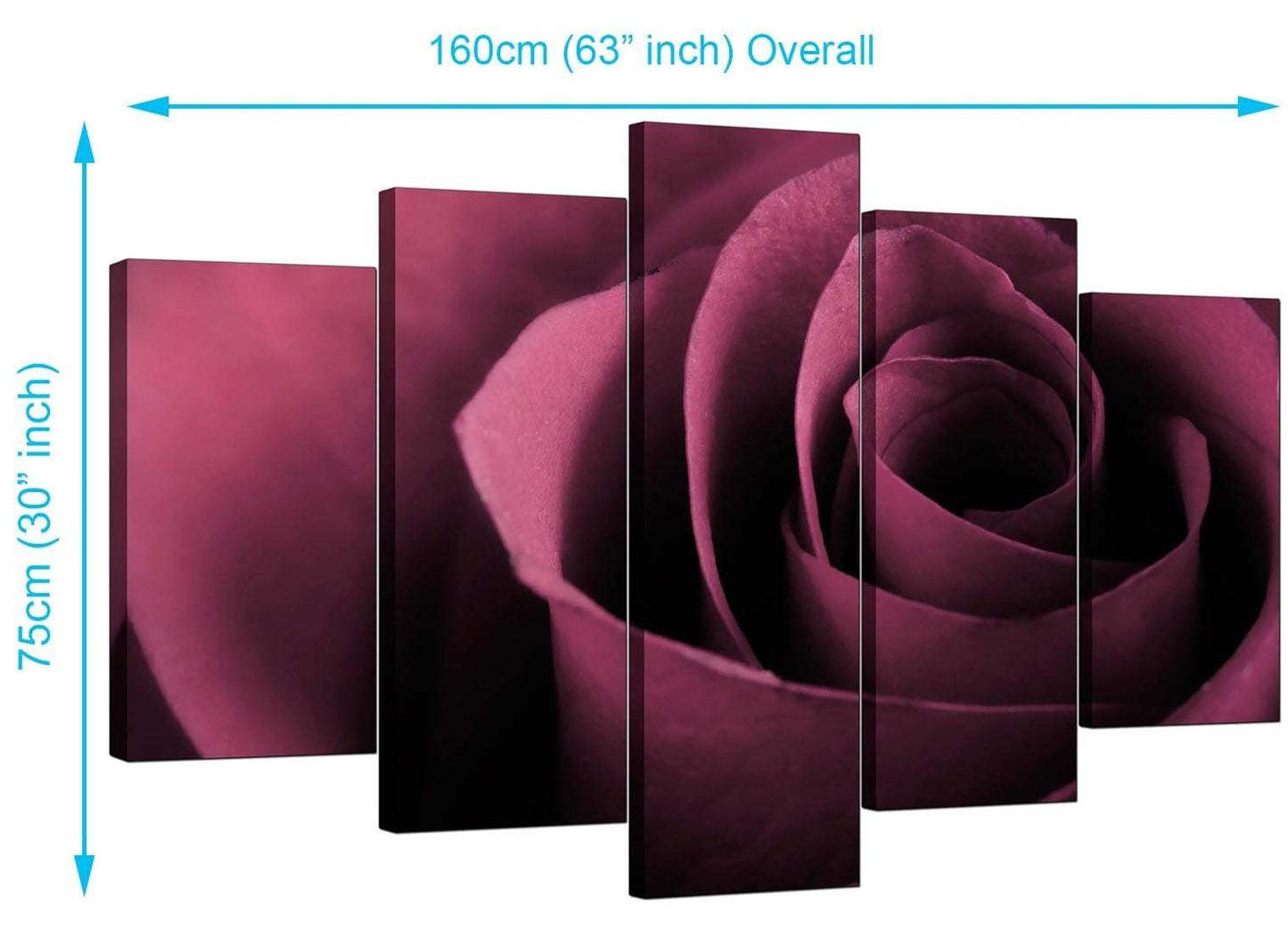 Plum Coloured Rose Petal Flower Floral Modern Canvas Art
