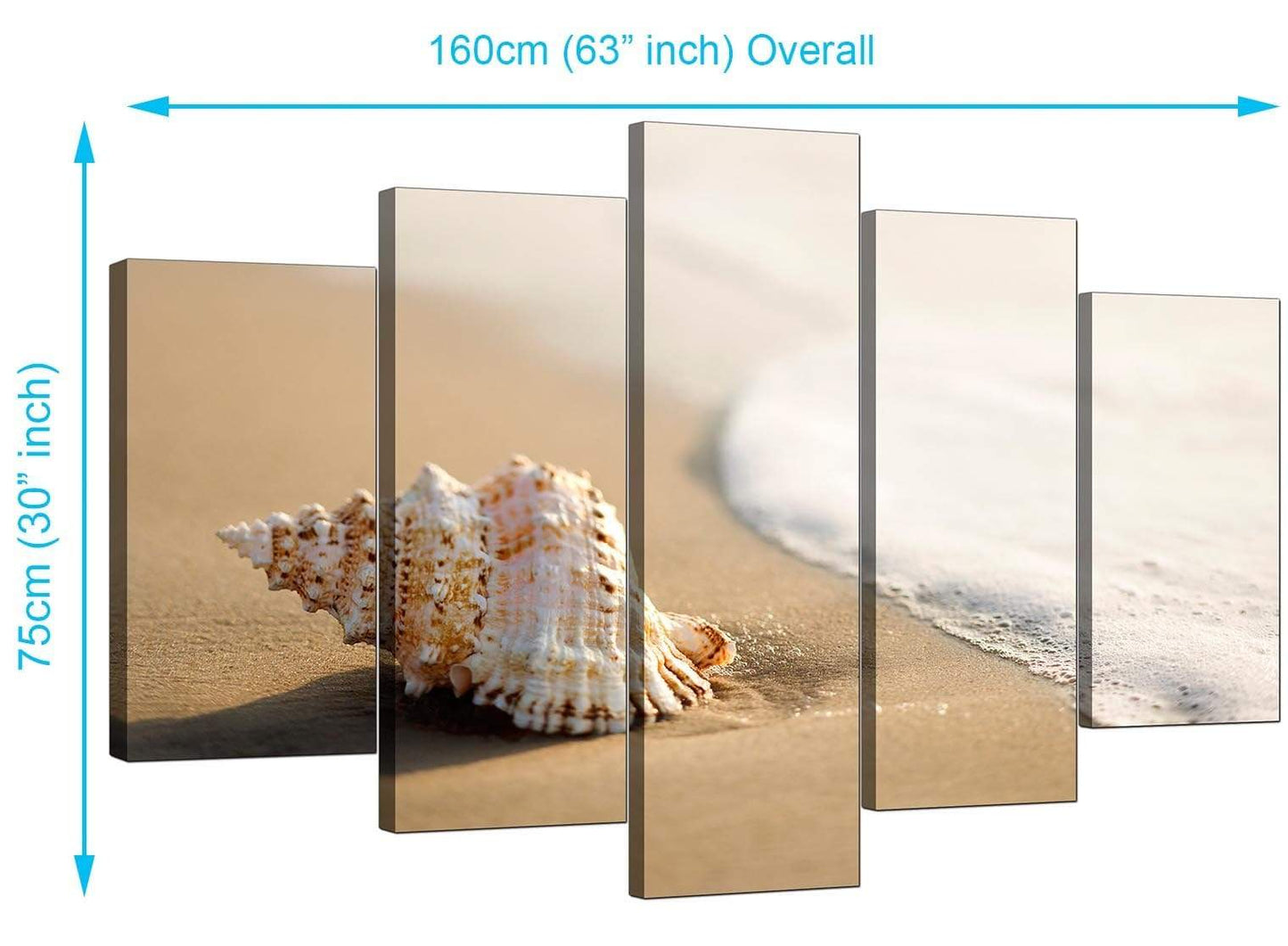 Sea Shells Shore Beach Canvas