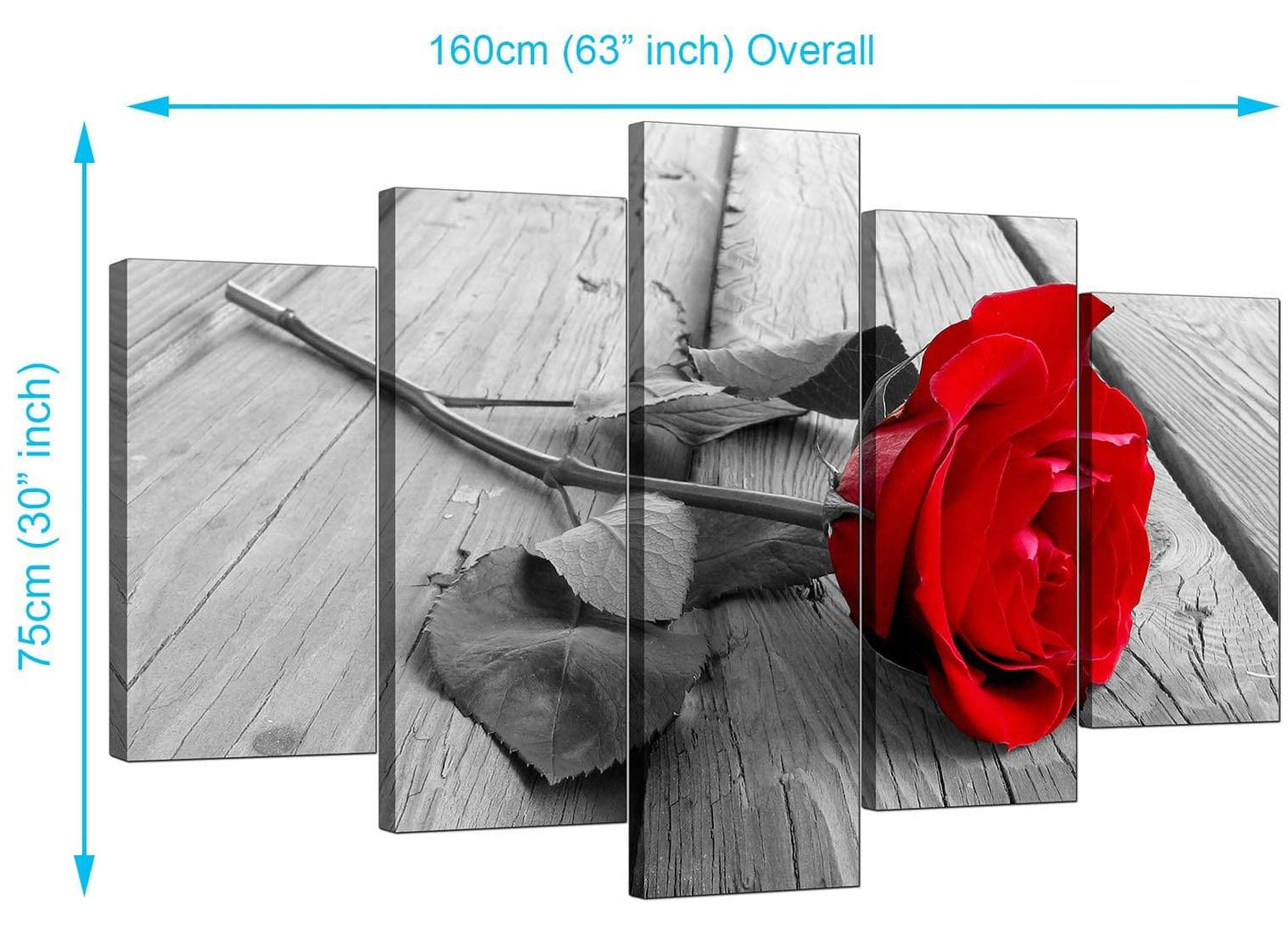 Red Rose Grey Black White Flower Floral Modern Canvas Art