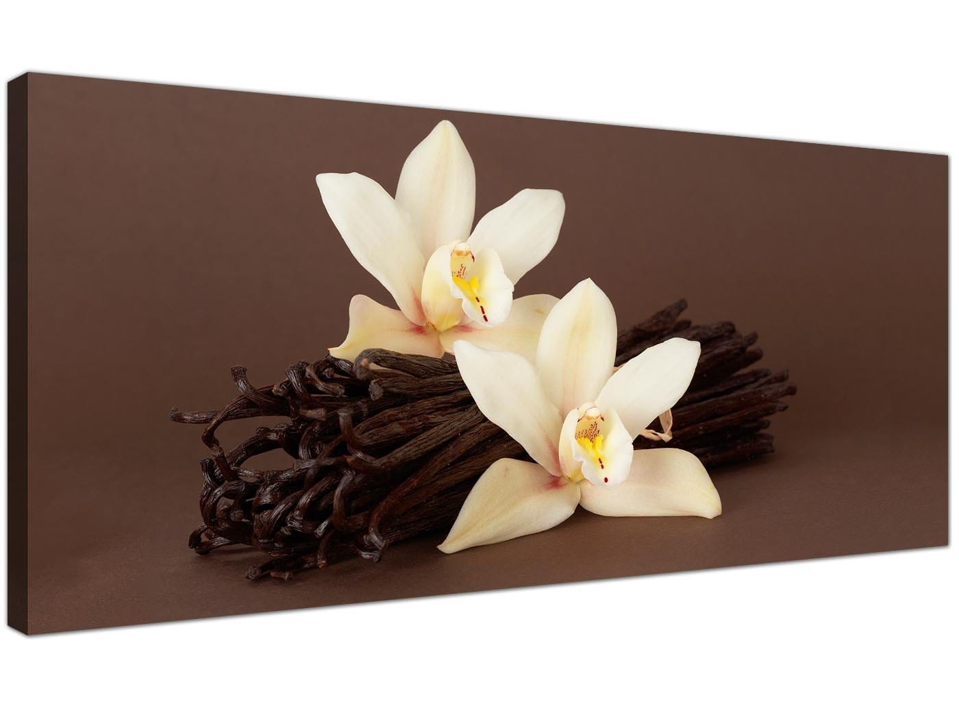 Brown and Cream Flower Floral Canvas