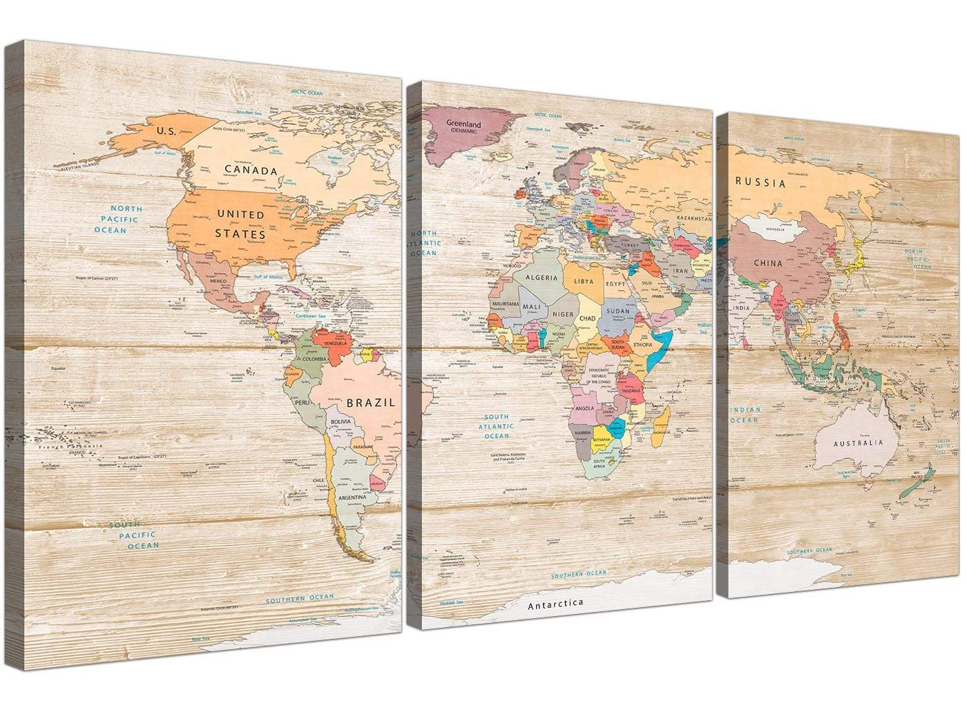 Map of the World Canvas Art Print