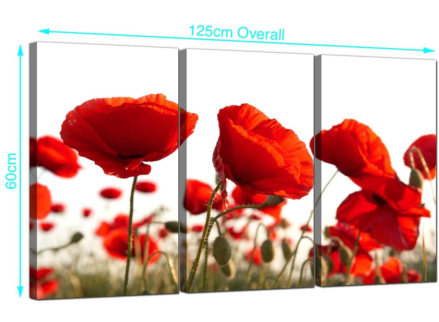 Red Poppy Field Poppies Flower White Floral Canvas