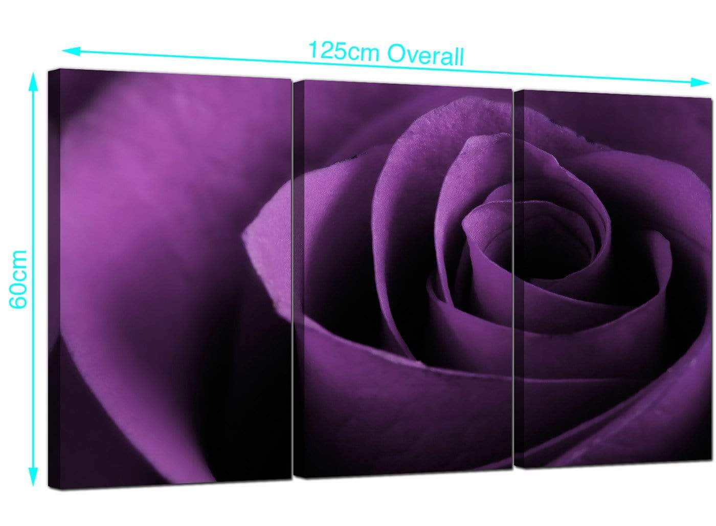 Purple Rose Petal Flower Floral Modern Canvas Art