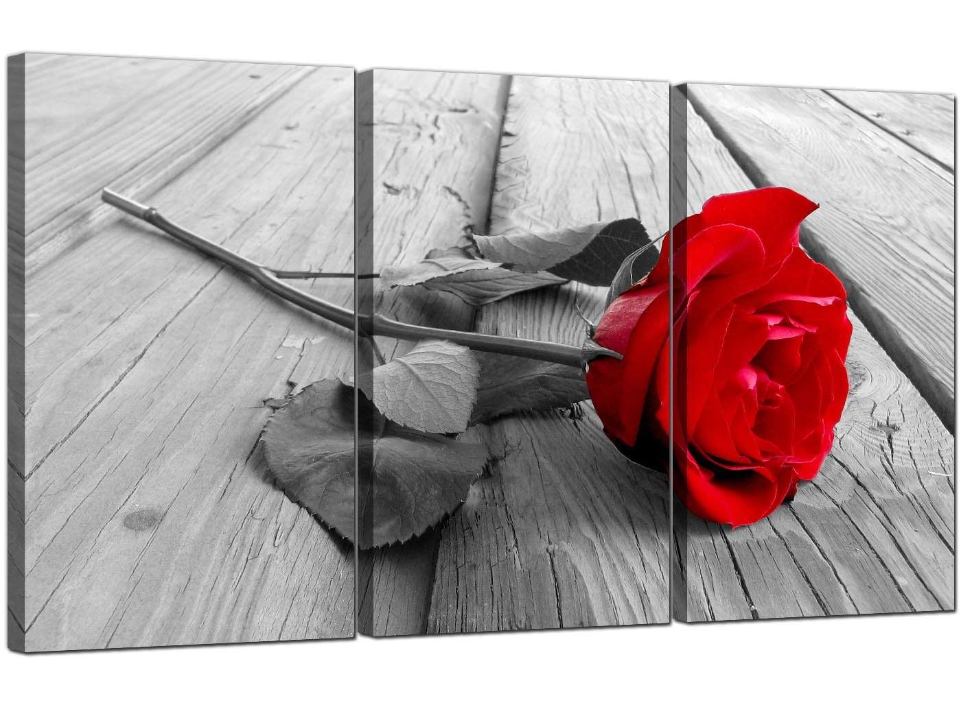 Red Rose Grey Black White Flower Floral Modern Canvas Art