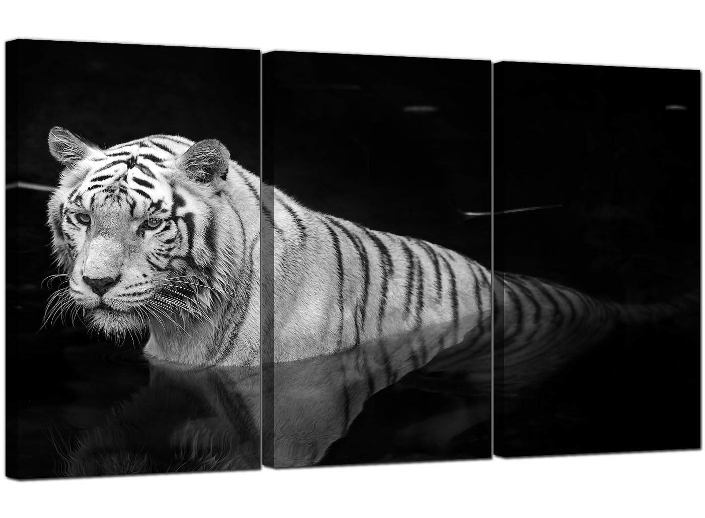 Modern Black White Bengal Tiger Water Canvas