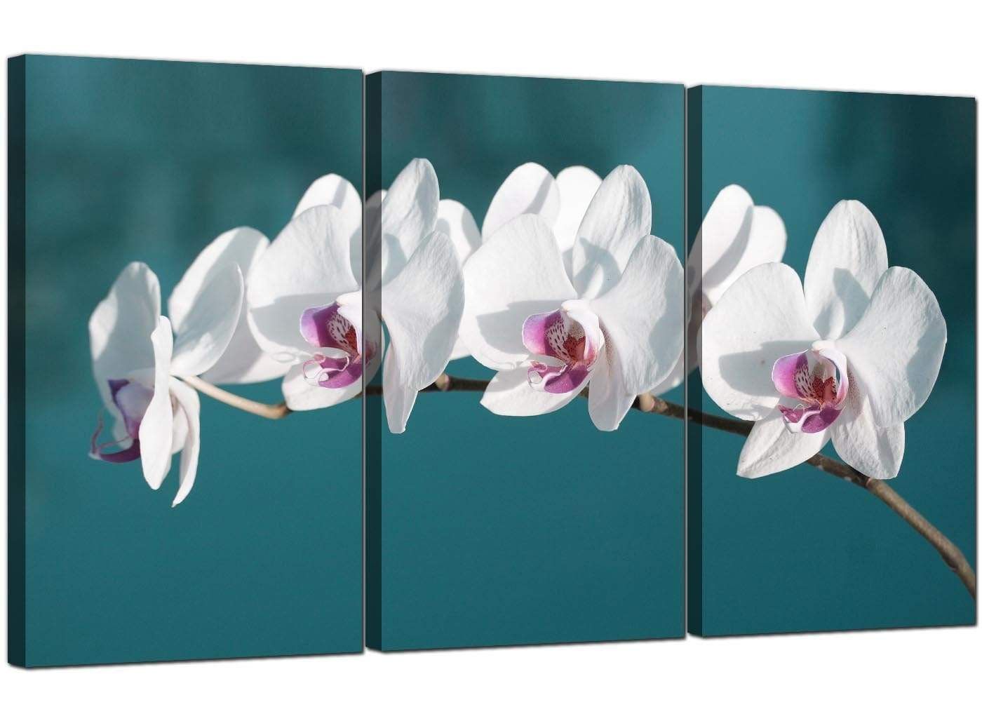 Teal White Orchid Flower Branch Floral Canvas