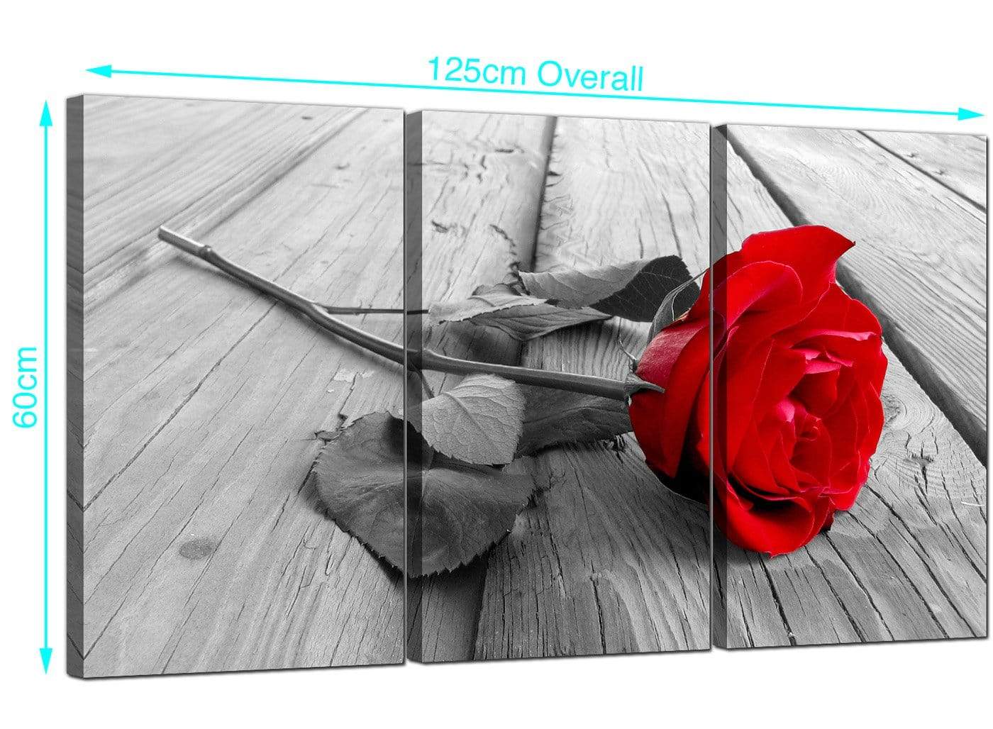 Red Rose Grey Black White Flower Floral Modern Canvas Art