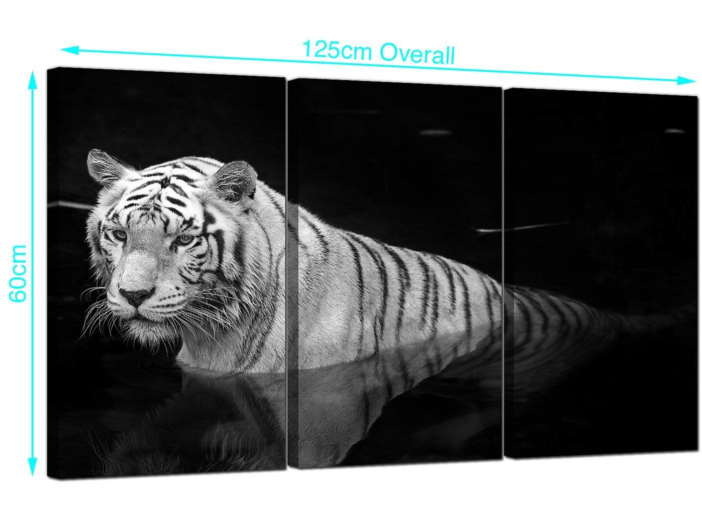 Modern Black White Bengal Tiger Water Canvas