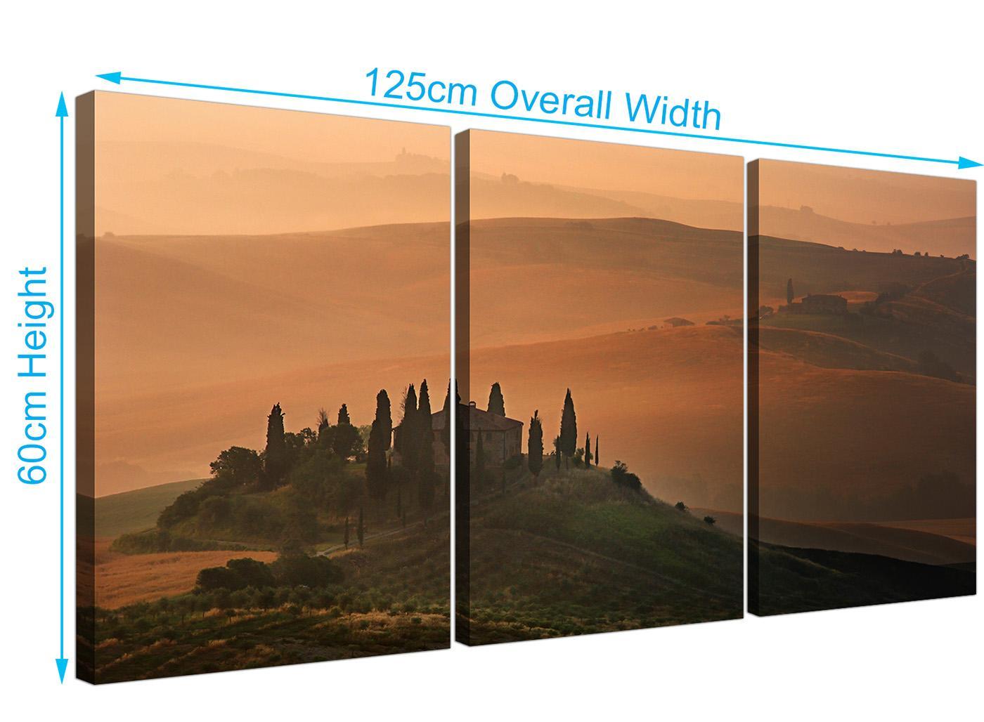 Tuscany Vineyard - Italian Canvas Prints