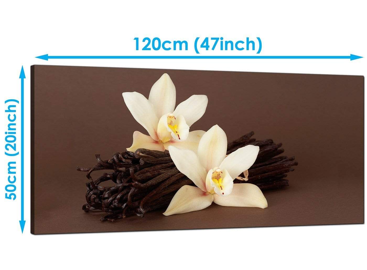 Brown and Cream Flower Floral Canvas