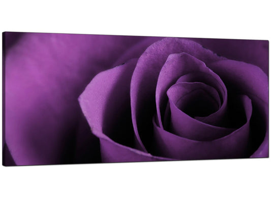 Purple Rose Petal Flower Floral Modern Canvas Art